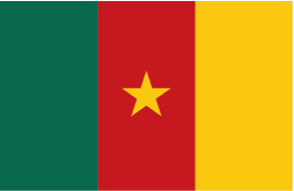 Flag of Cameroon image