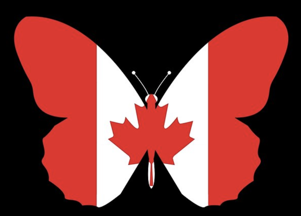 Canadian butterfly flag