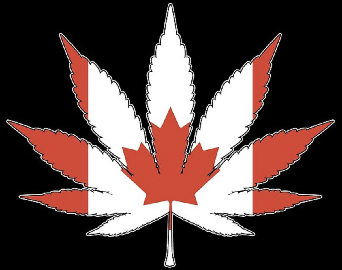 Canadian refer leaf