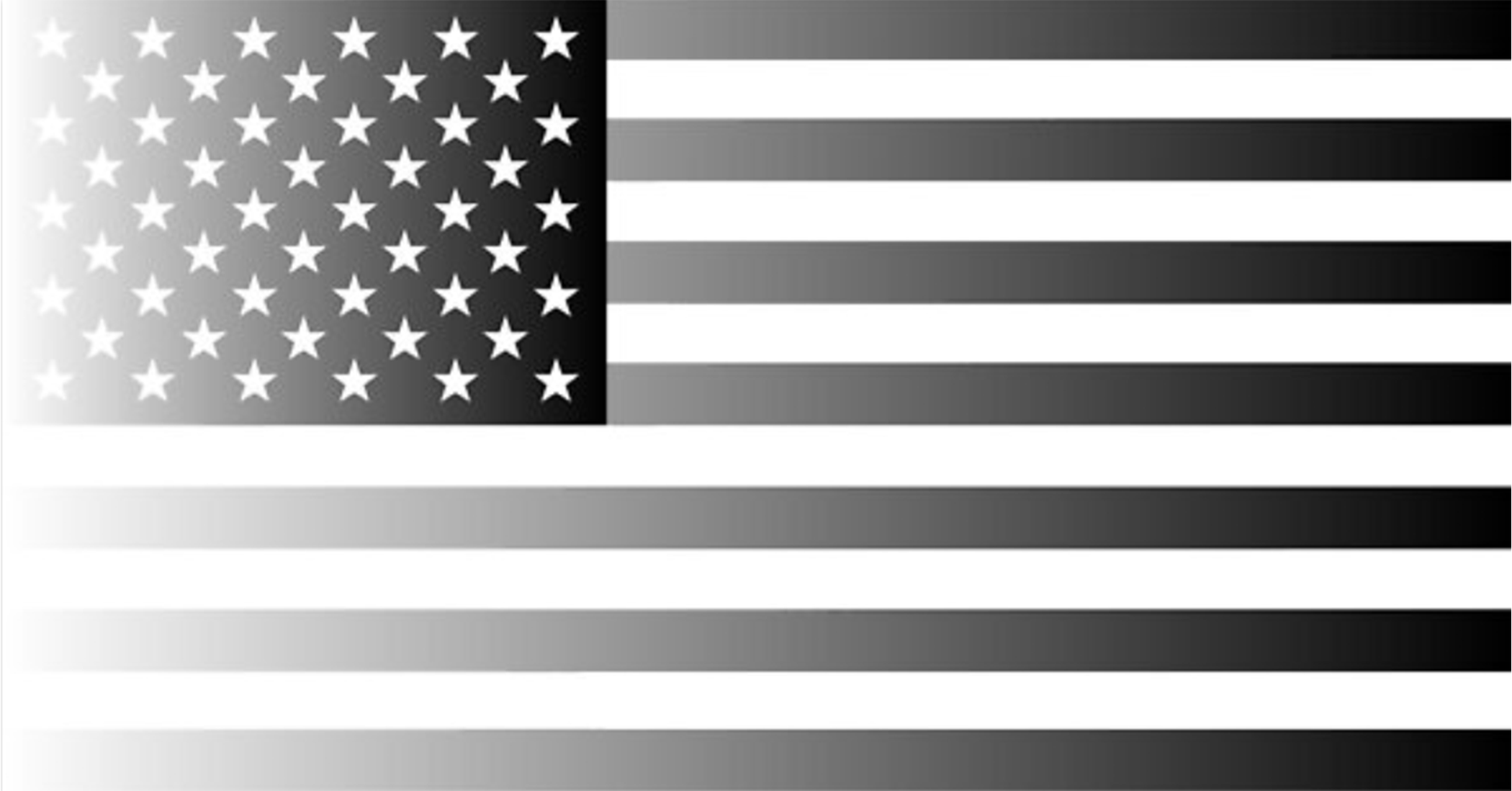 Gray United States Flag