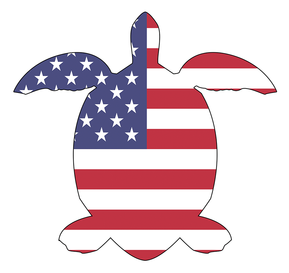 United States Flag shaped like a turtle