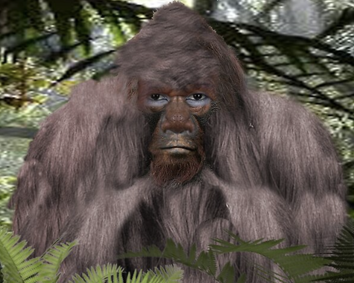 sasquatch