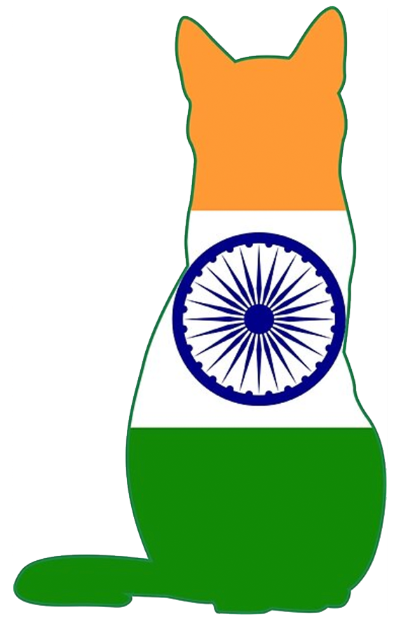 Indian Flag shaped like a cat