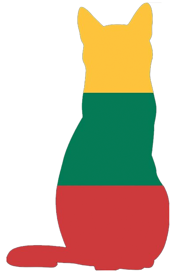 Lithuanian Flag shaped like a cat