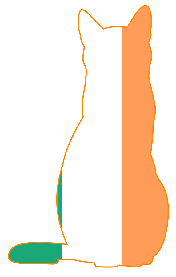 Irish Flag shaped like a cat