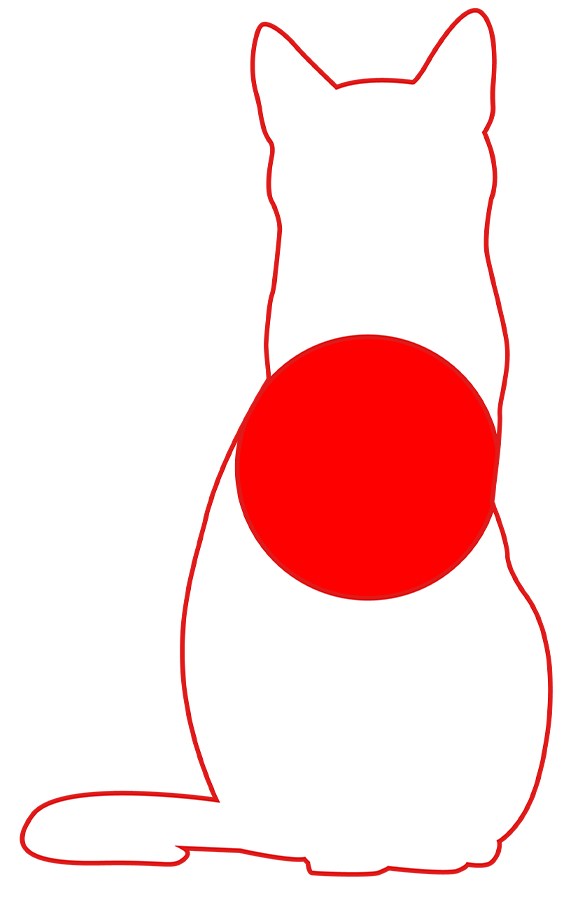 Japanese Flag shaped like a cat