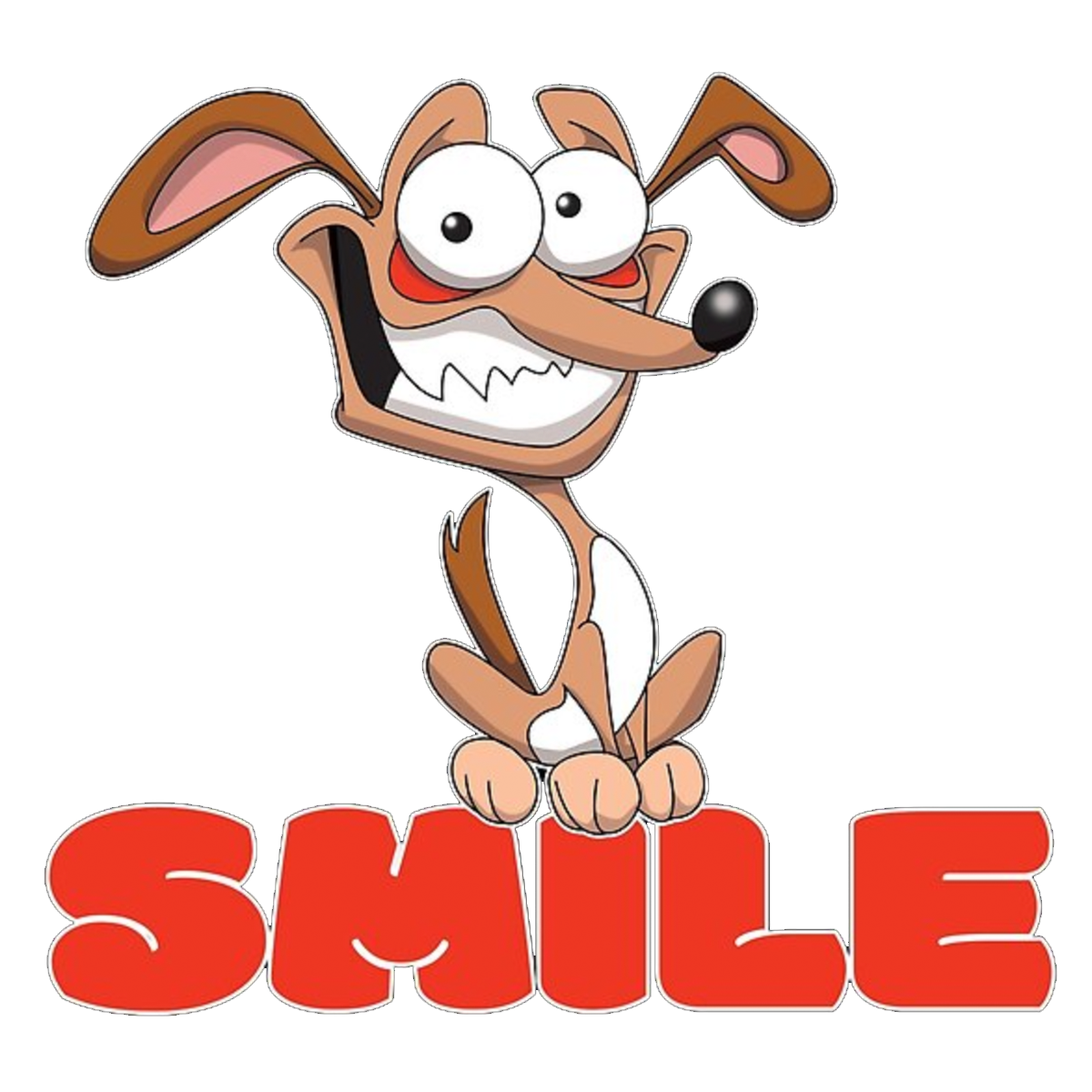 a dog smiling with fonts that say smile