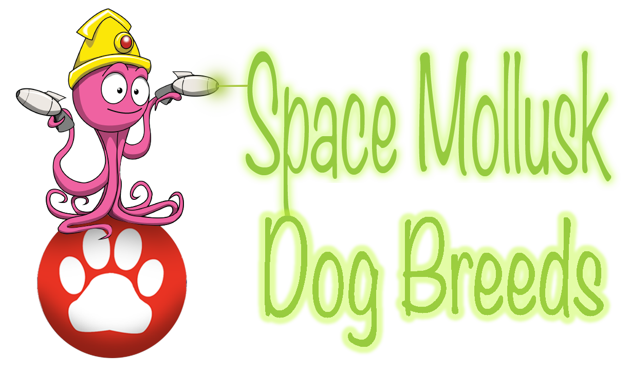 Space Mollusk logo