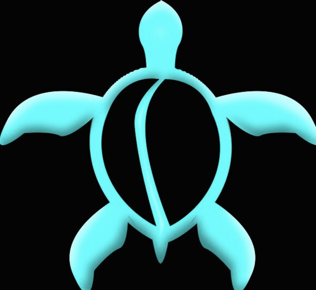 Turquoise Hawaiian Turtle